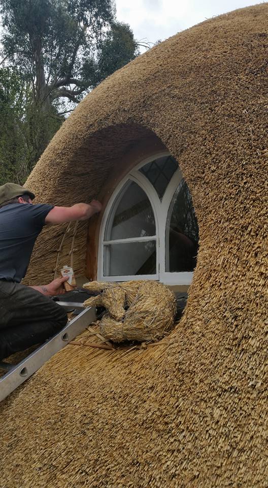 Toby Parfitt-Marr thatching a rounded gable window into a new roof, hazel spars and straw visible at the eave